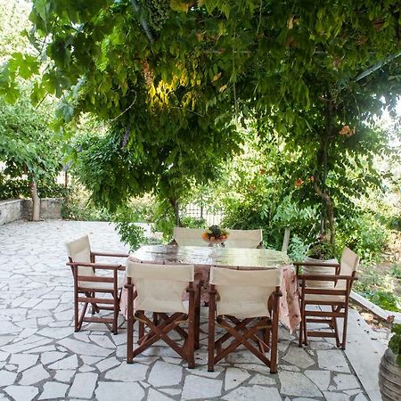 Villa Ilias Pinakokhorion Екстериор снимка