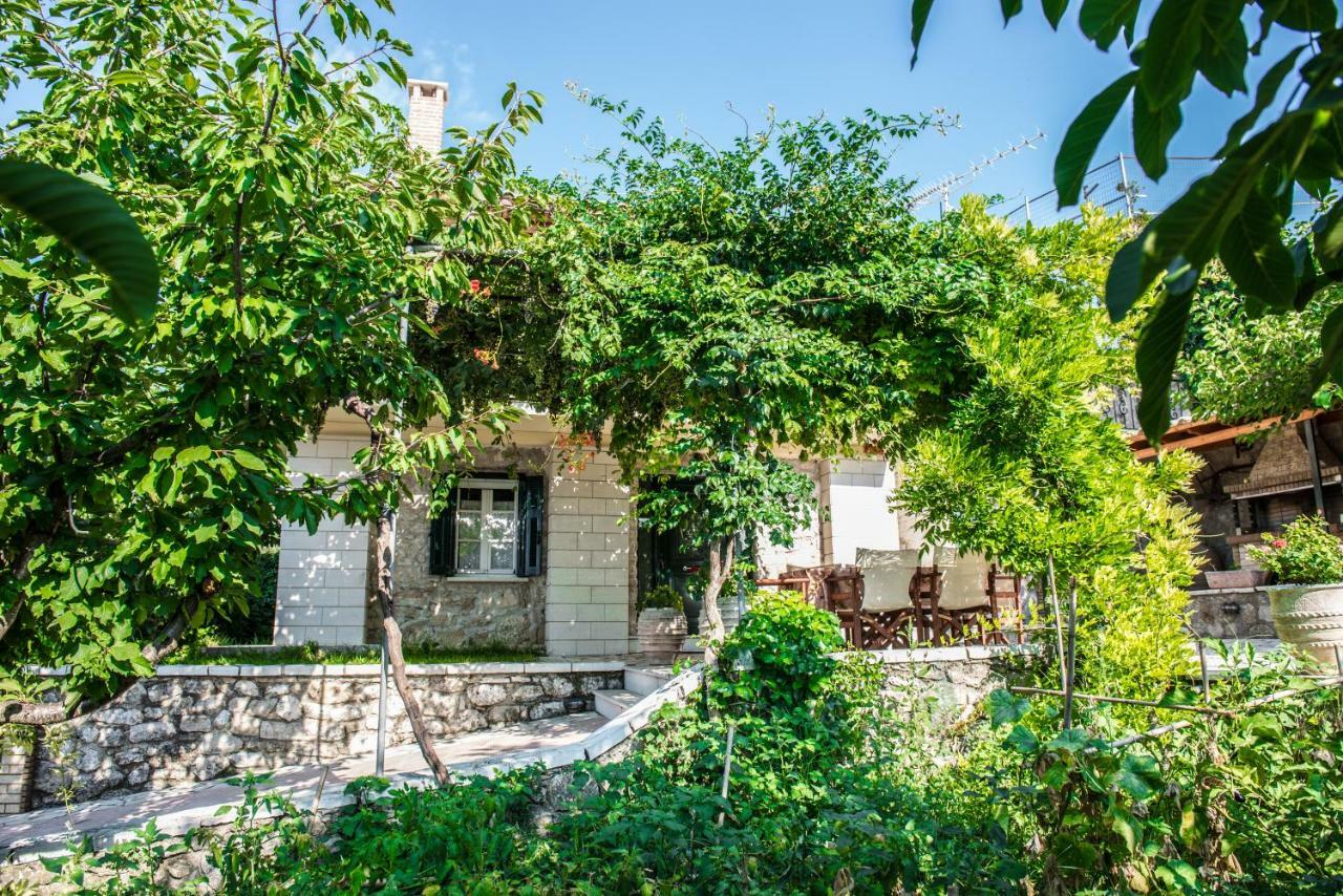 Villa Ilias Pinakokhorion Екстериор снимка
