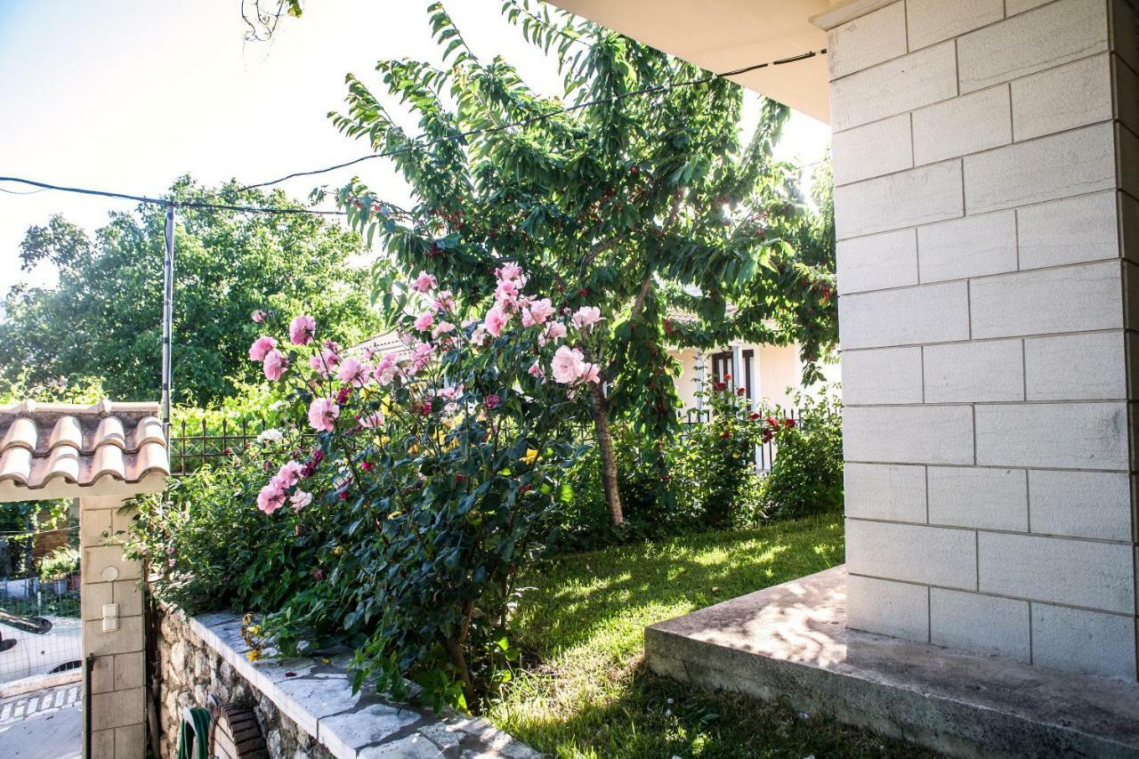 Villa Ilias Pinakokhorion Екстериор снимка